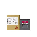 Ricoh 828424
